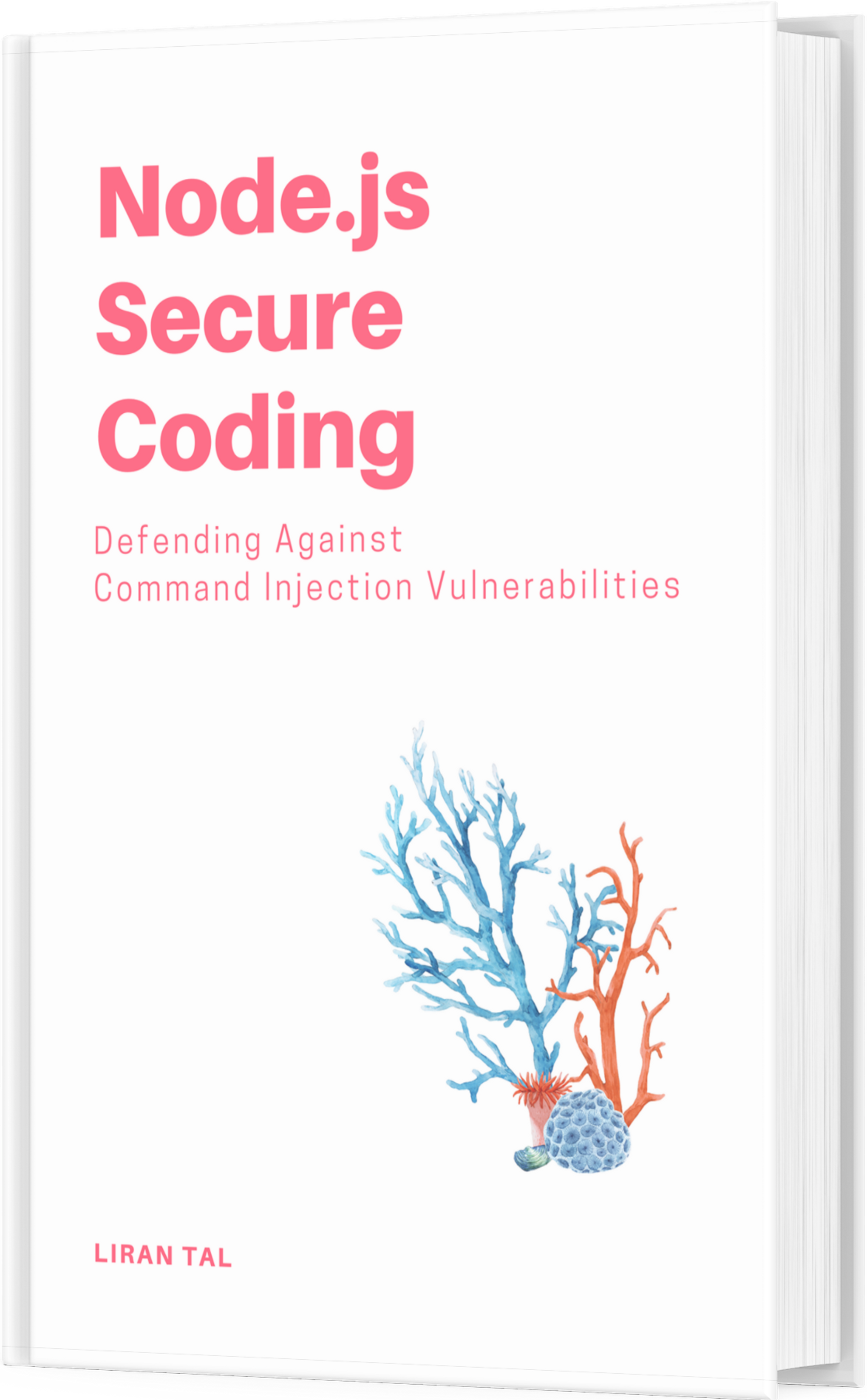 The book: Node.js Secure Coding: Defending Against Command Injection Vulnerabilities